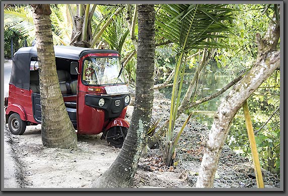 Sri Lankan Tuk Tuk