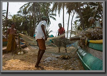 Tangalle Fisherman