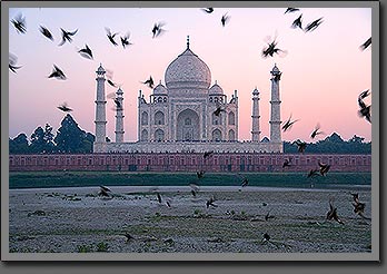 Taj Mahal Agra India 13