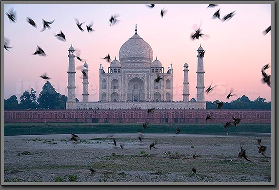 Taj Mahal Agra India 13