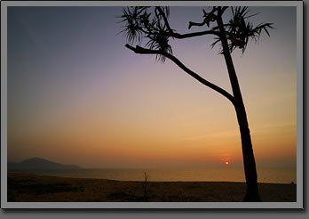 Thai Sunset