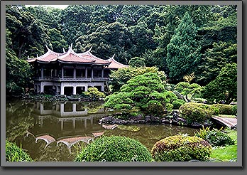 Japanese Garden 2