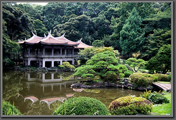Japanese garden 2