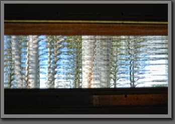 Eucaliptus glass