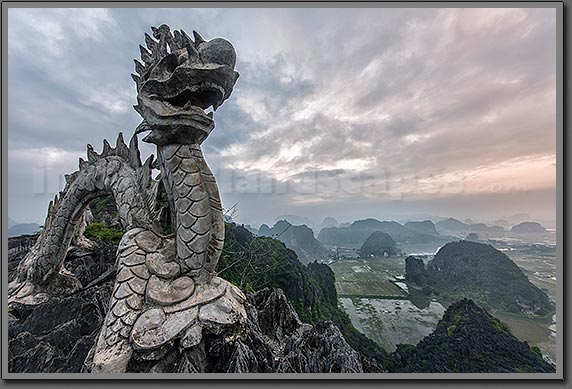 Tam Coc Dragon