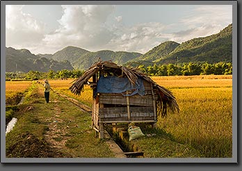 Mai Chau 3