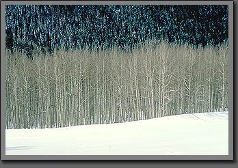 vail
