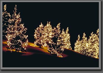 beaver creek
